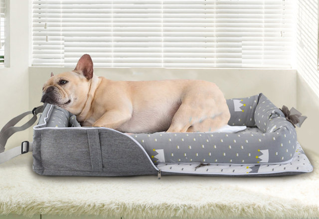 Must-Have Travel Dog Beds